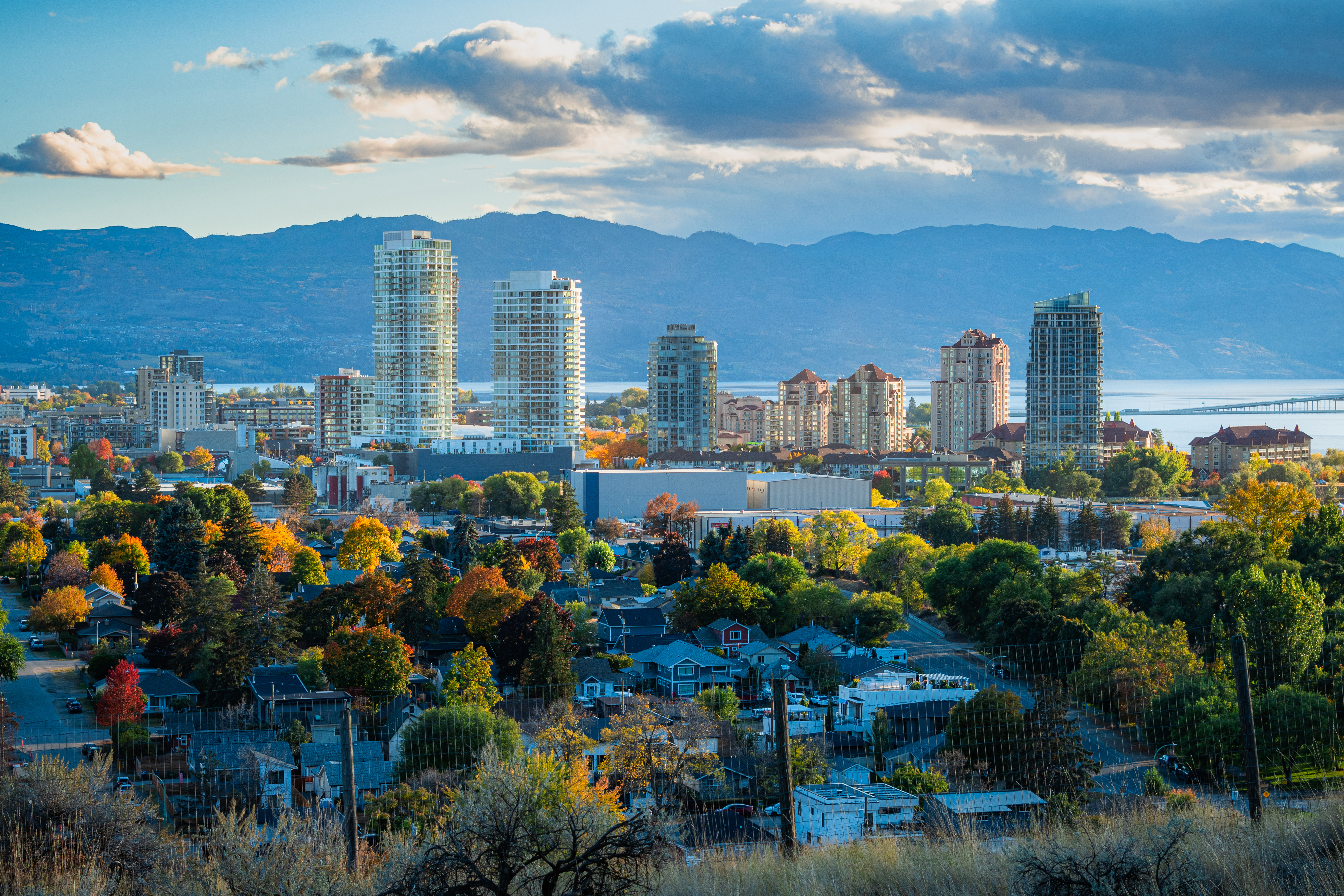 City view from Knox