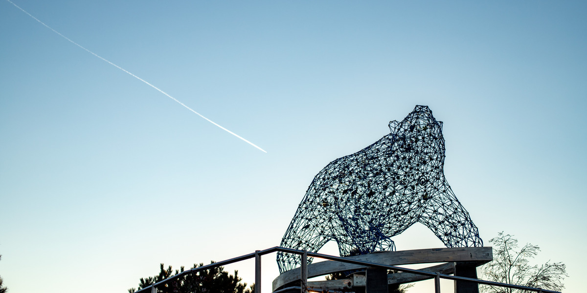 Stuart Park Bear - Perrella