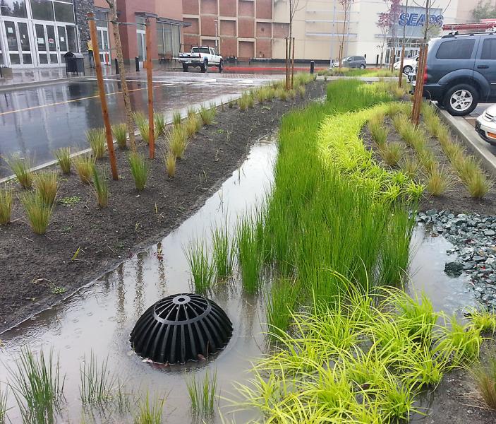 2040 OCP - Form and Character - Figure 62, image example of landscaped areas with rain gardens to break up large parking space