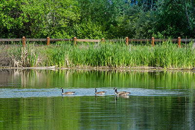 Munson Pond Park