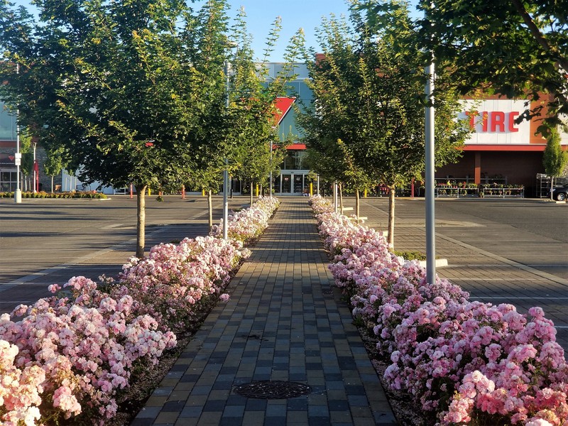 2040 OCP - Form and Character, figure 61, image example of landscaping along internal pedestrian trail