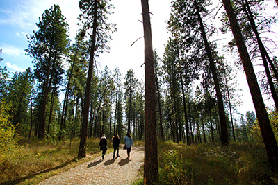  Eagle View and Quail Flume Trails