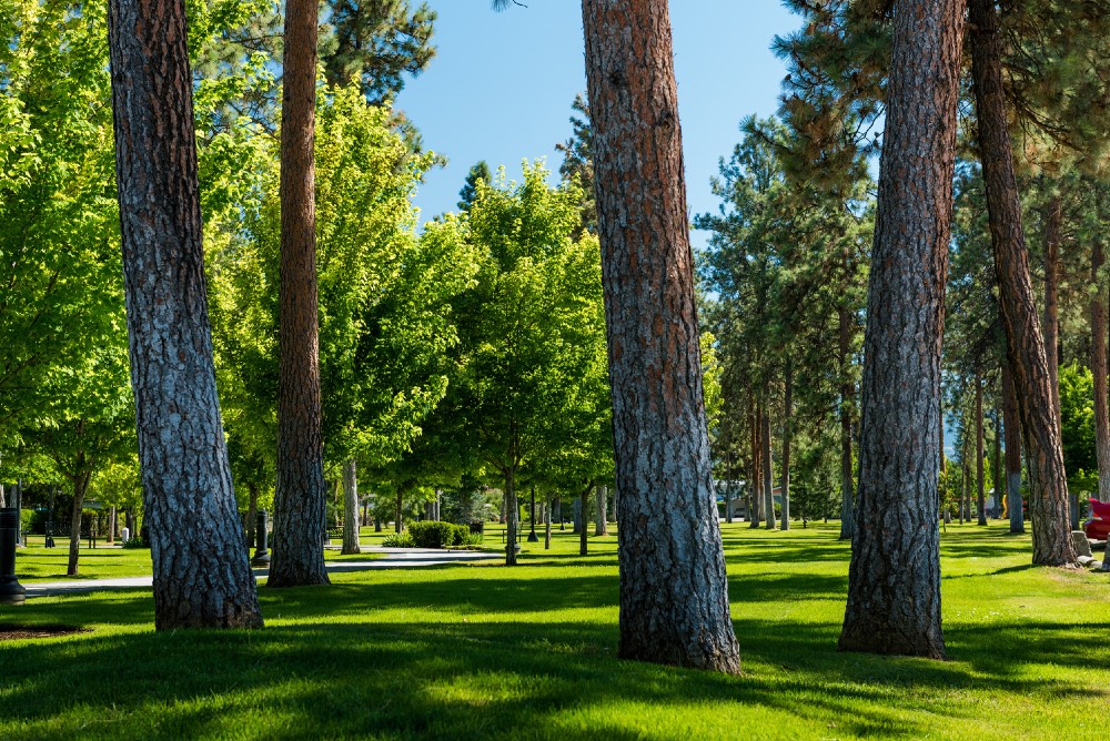 Rutland Lions Park