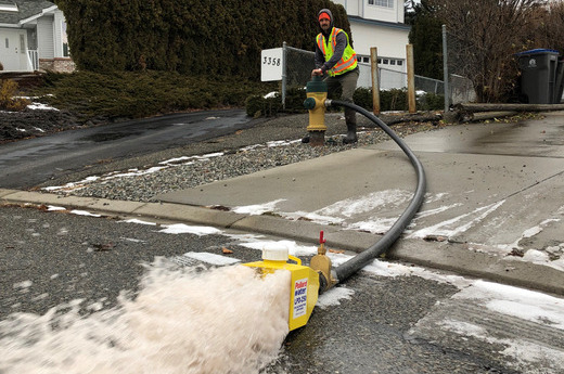 Flushing water distribution system