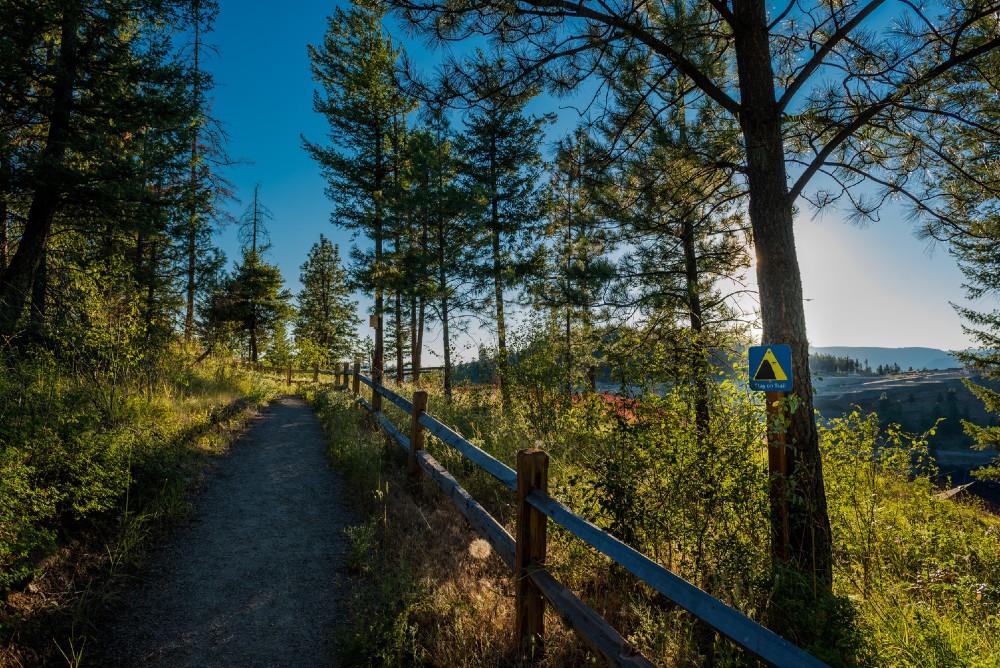 Stockley Open Space