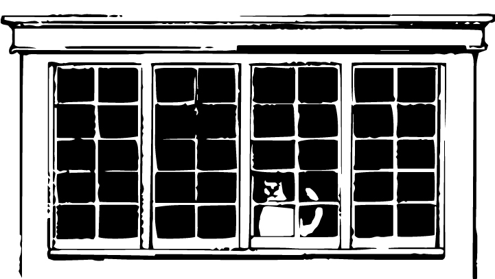 2040 OCP - Door and Window Finishes for Properties in the Heritage Conservation Area