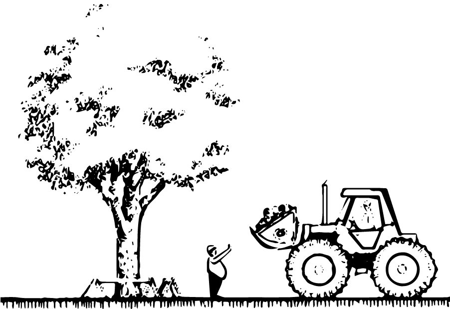 2040 OCP - Healthy, mature trees are encouraged to be maintained and protected.