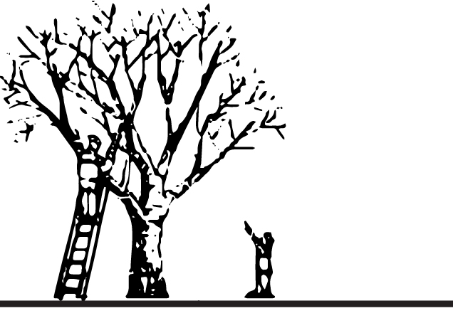 2040 OCP - Any tree pruning required is encouraged to be undertaken under the direction of a certified Landscape Architect or arborist.