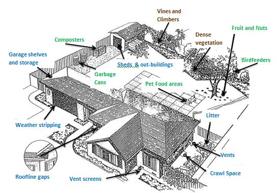 House layout highlighting rodent access points