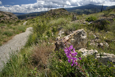 Kuipers Peak Mountain Park