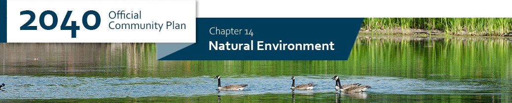 2040 OCP - Chapter 14 - Natural Environment chapter header, image of Munson Pond Park with ducks on the water