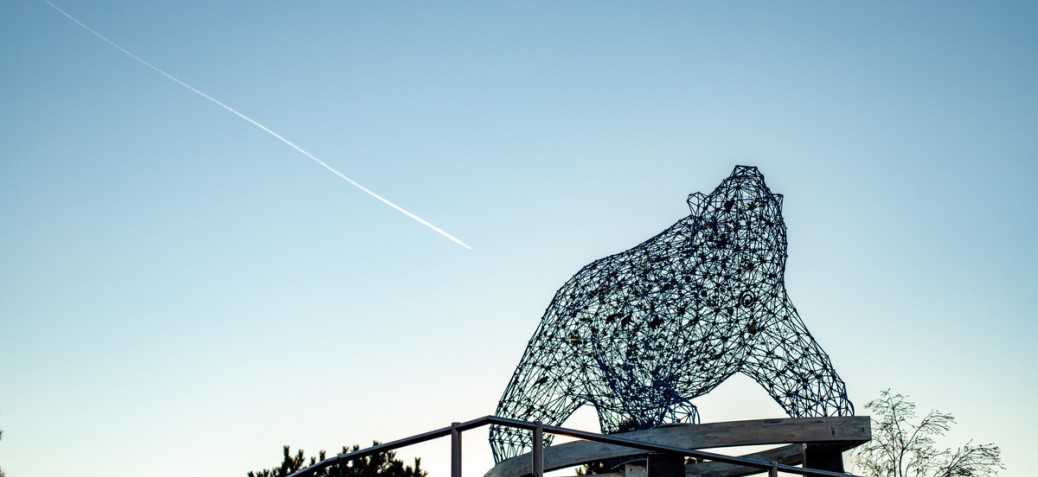 Stuart Park Bear - Perrella