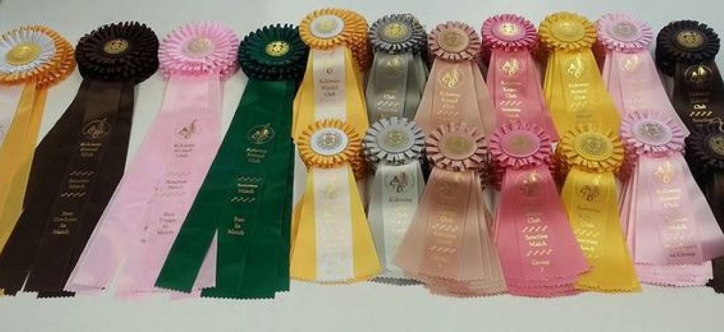 Dog Show