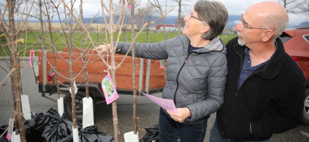 2019 NeighbourWoods tree picking