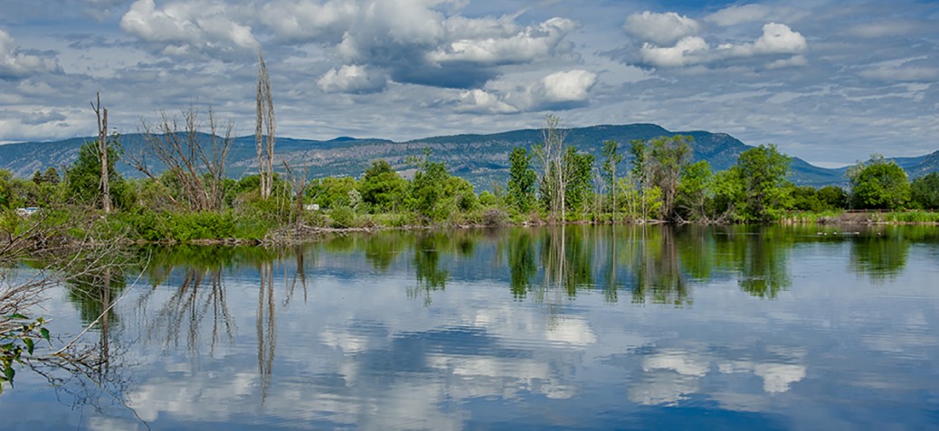 Munson Pond Park