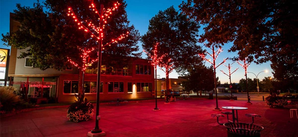 Roxby Square at night with tree lights glowing red