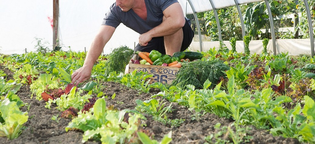 Agriculture plan | City of Kelowna