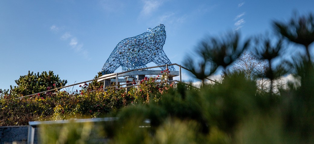 Stuart Park Bear