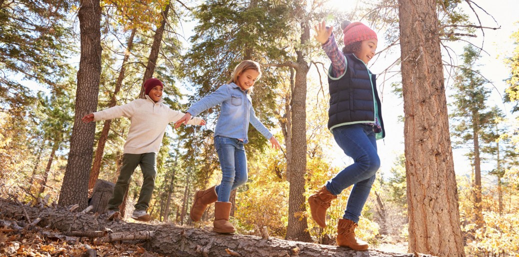 Kids exploring in the woods on an autumn day