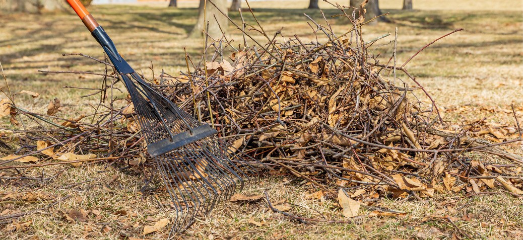 Good yard maintenance each spring helps to reduce wildland fire fuels