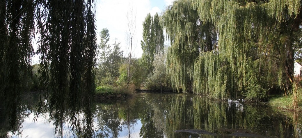 Chichester Park