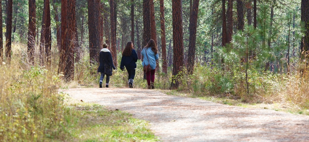 Eagle View and Quail Flume Trails