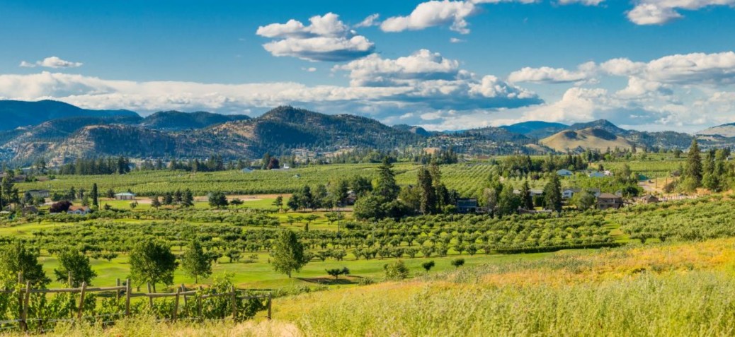 Agriculture photo Photo of agricultural land