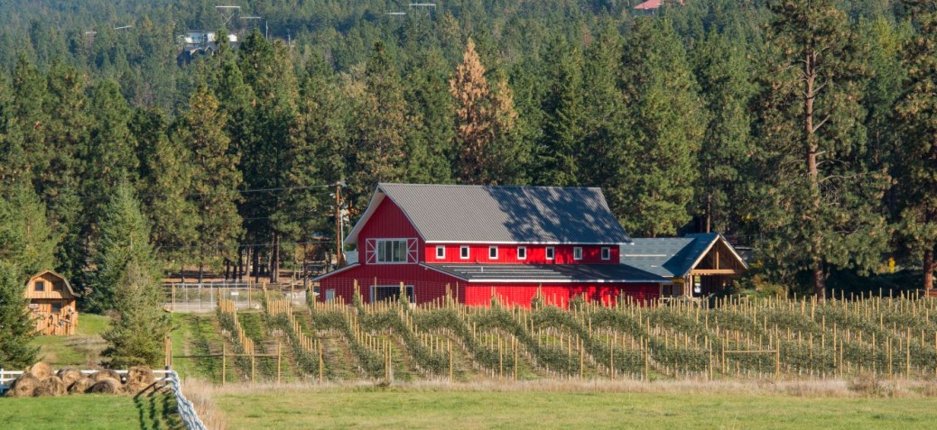 Barn and home on agricultural property Red barn and small house on an agricultural property