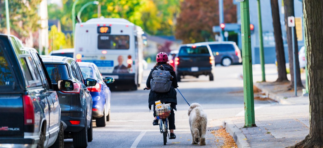 biker_with_dog_1_