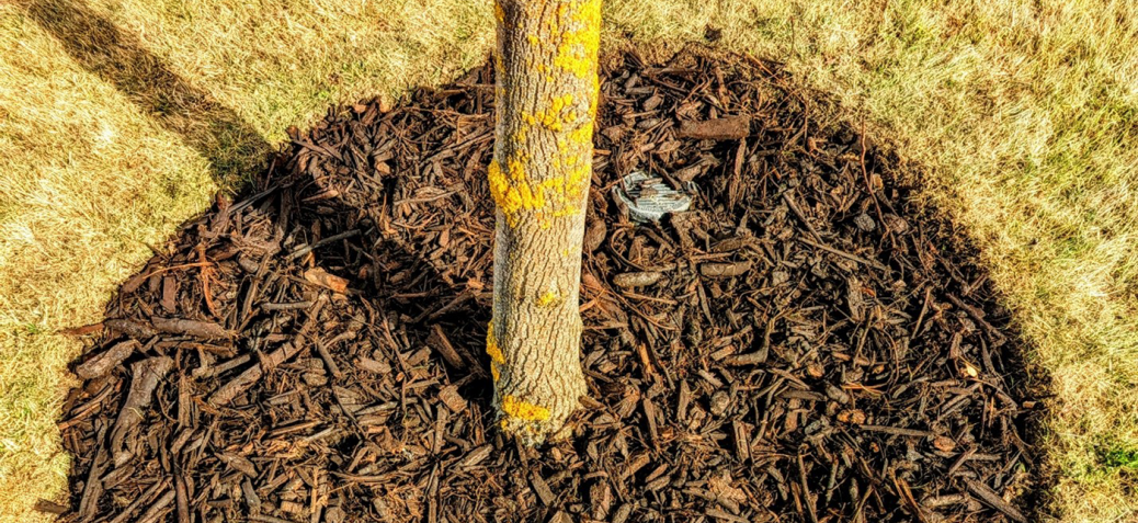 GlenGrow Mulch