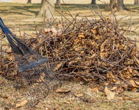 Good yard maintenance each spring helps to reduce wildland fire fuels