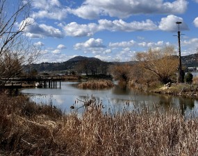 Rotary Marsh
