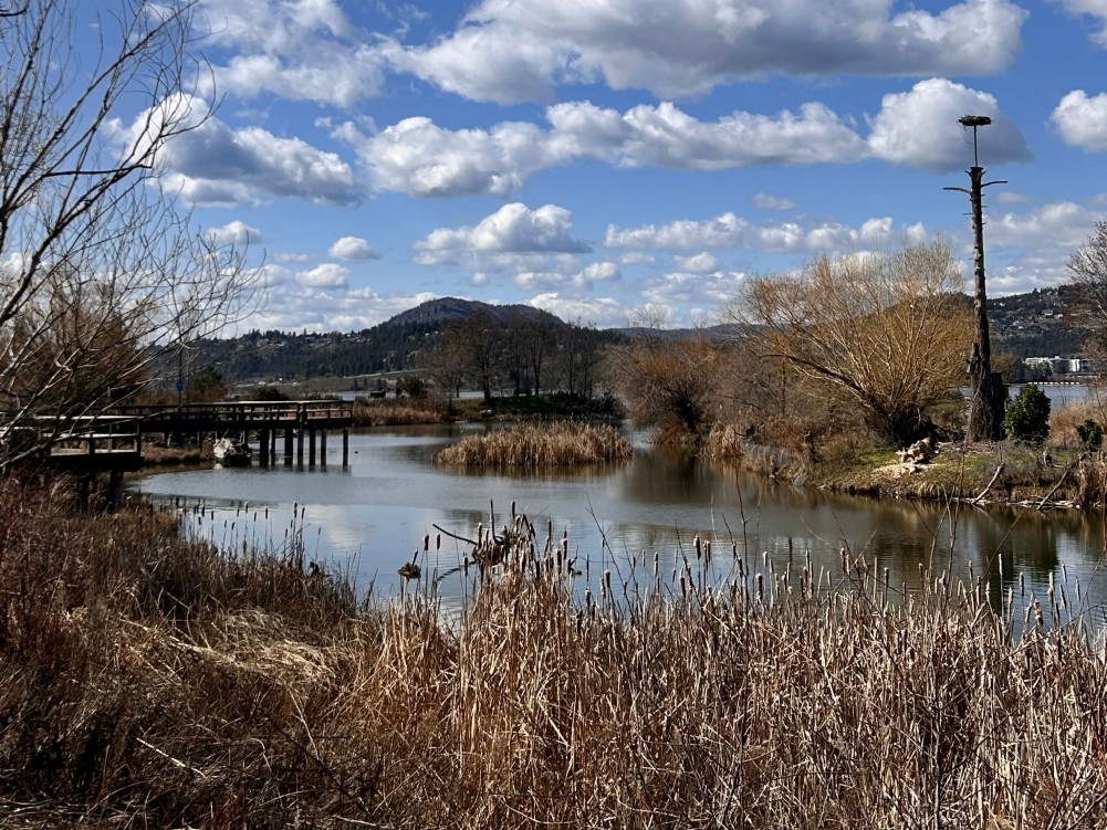 Rotary Marsh