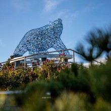 Stuart Park Bear