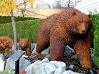 Naming of the City of Kelowna