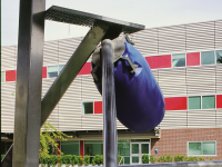 Toy Amenity