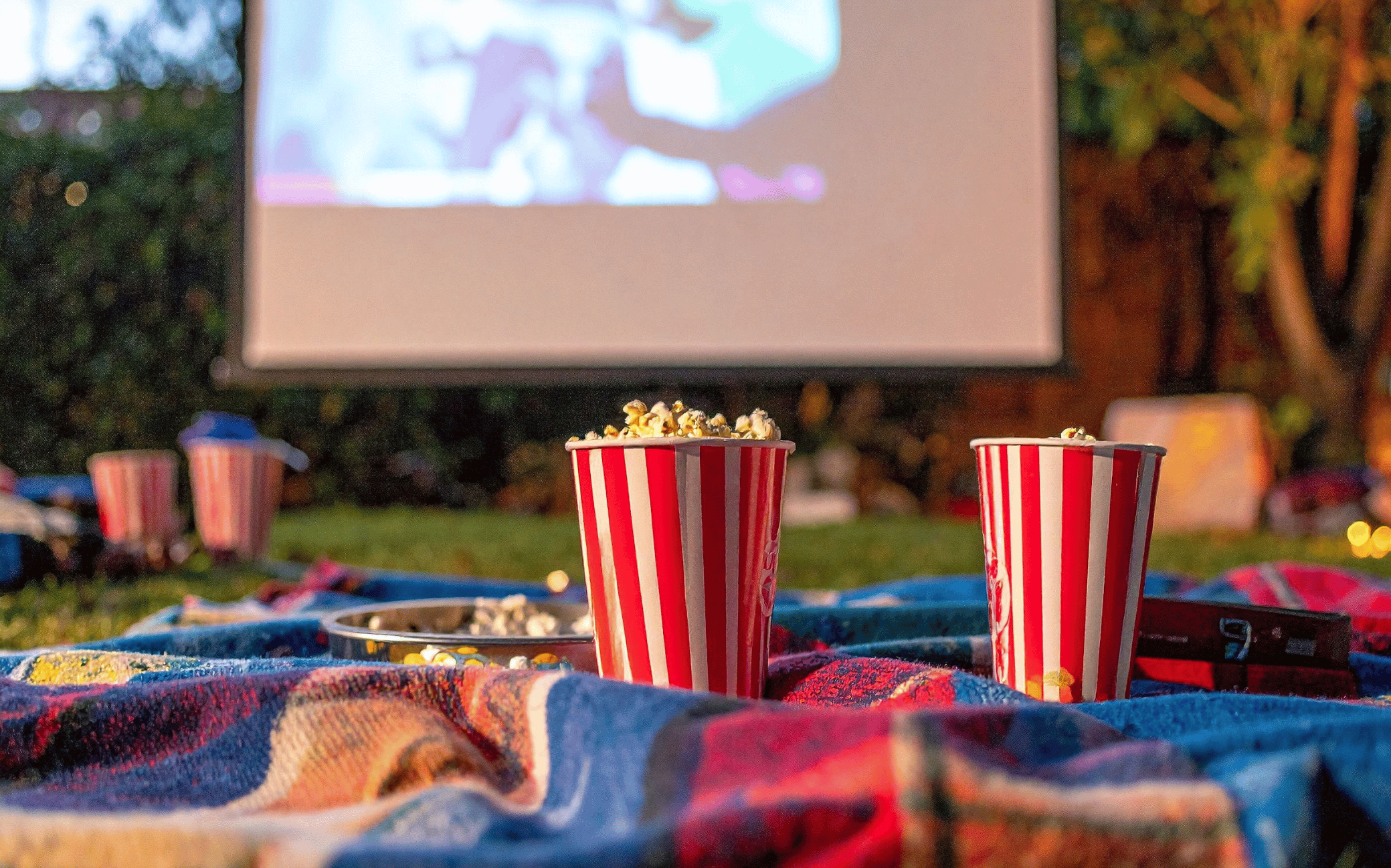 Youth Edition: Movie in the Park Youth Edition: Movie in the Park